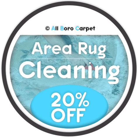 AREA RUG CLEANING