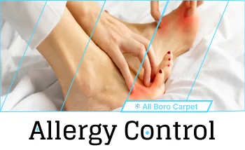 Allergy Control Treatmnet