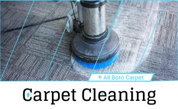 Carpet Cleaning