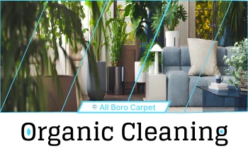 Organic Cleaning