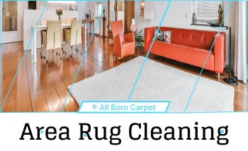 Area Rug Cleaning