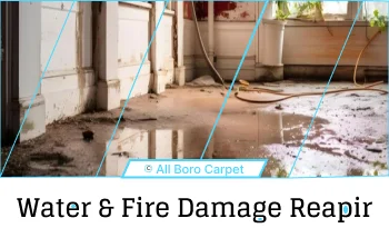 Water and Fire Damage